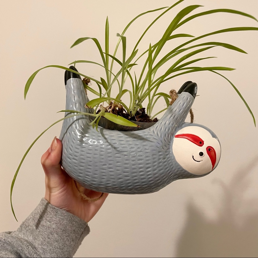 Hanging sloth planter